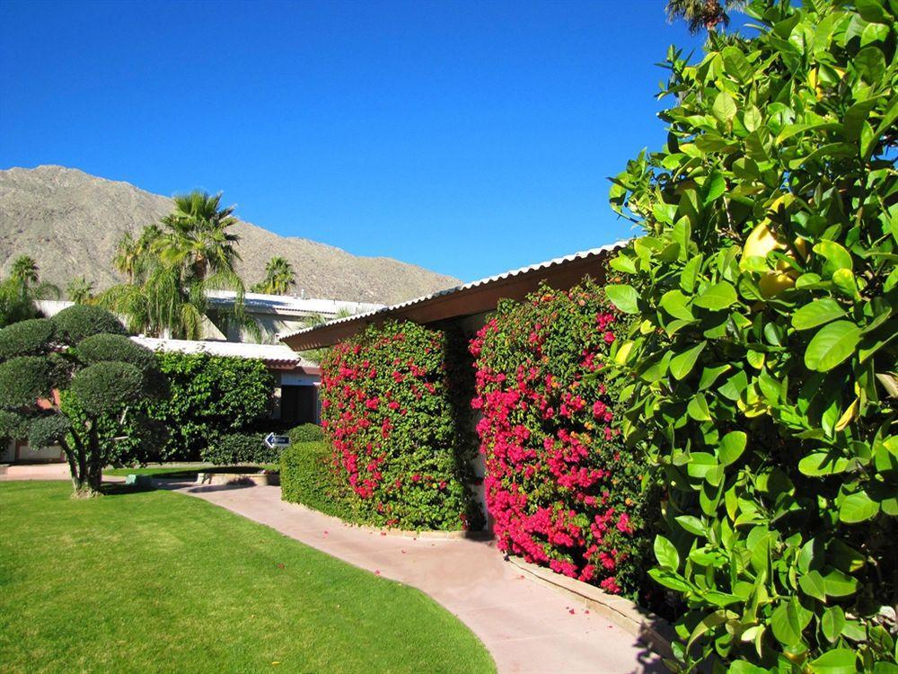 A Place In The Sun - Adults Only Big Units, 24h Heated Pool & In 1 Acre Park Prime Location, Dog Friendly, Midcentury Modern Boutique 4* Palm Springs